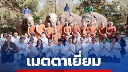หลวงปู่เสถียร คุณวโร เมตตาเยี่ยมเลี้ยงช้างตระกูลแสนที่เชียงใหม่ พระครูอ๊อดน้อมถวาย “พังแสนสวย” เป็นลูกสาวเชือกที่ 24