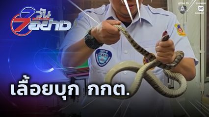 7 วัน 7 อย่าง : เลื้อยบุก กกต.