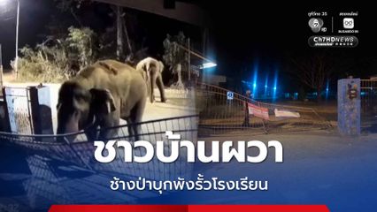 ชาวบ้านผวา ช้างป่าบุกพังรั้วโรงเรียนกลางดึก