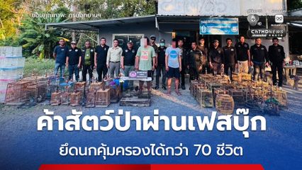 ทลายเครือข่ายค้าสัตว์ป่าออนไลน์ ! รวบ 2 ผู้ต้องหา ยึดนกคุ้มครองได้กว่า 70 ชีวิต ค่าเสียหายรัฐนับหมื่น 
