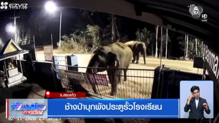 ช้างป่าบุกพังประตูรั้วโรงเรียน จ.สระแก้ว
