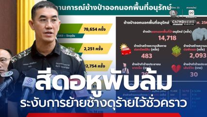 สีดอหูพับล้ม เป็นเหตุสุดวิสัยจากความเครียดสะสมของช้าง