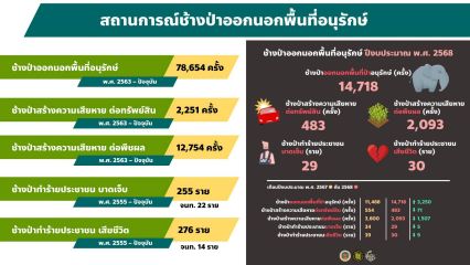 สีดอหูพับล้ม เป็นเหตุสุดวิสัยจากความเครียดสะสมของช้าง