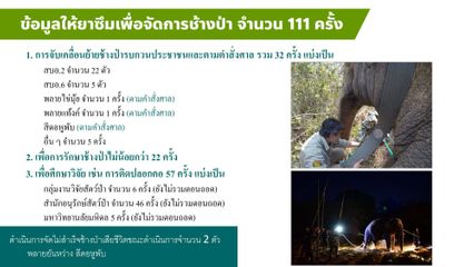 สีดอหูพับล้ม เป็นเหตุสุดวิสัยจากความเครียดสะสมของช้าง