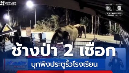 ช้างป่าบุกพังประตูรั้วโรงเรียน จ.สระแก้ว