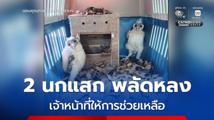 2 นกแสก พลัดหลง เจ้าหน้าที่ให้การช่วยเหลือ ก่อนนำไปปล่อยคืนสู่ธรรมชาติ