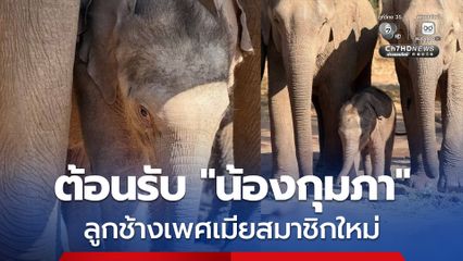 ข่าวดีรับกุมภาพันธ์ “แม่เปิ้ล” ตกลูกเชือกใหม่ “น้องกุมภา” สมาชิกตัวที่ 71