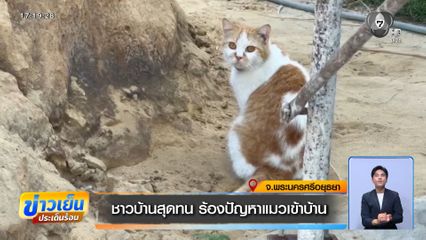 ชาวบ้านสุดทน ร้องปัญหาแมวเข้าบ้าน