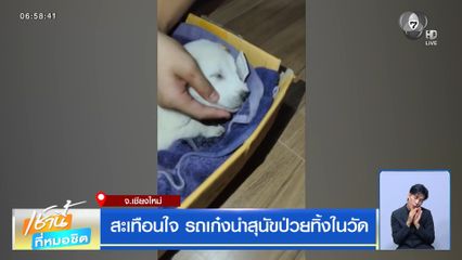 สะเทือนใจ รถเก๋งนำสุนัขป่วยทิ้งในวัด