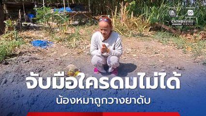 เจ้าของสุดสะเทือนใจน้องหมา 3 ตัว โดนวางยาดับ ภายใน 1 เดือน