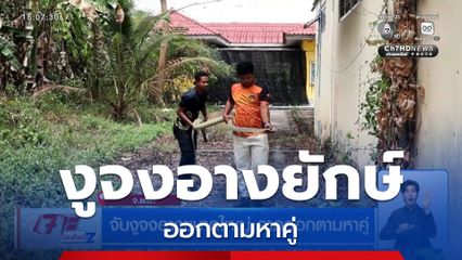 จับงูจงอางขนาดใหญ่ คาดออกตามหาคู่ จ.ยะลา