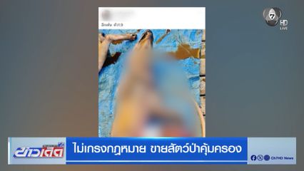 ไม่เกรงกฎหมาย ขายสัตว์ป่าคุ้มครอง