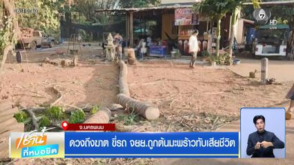 ดวงถึงฆาต ขี่รถ จยย.ถูกต้นมะพร้าวทับเสียชีวิต