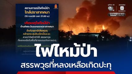 กองทัพภาคที่ 2 แจงเหตุไฟไหม้ป่าใกล้ปราสาทคนา