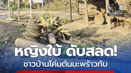 หญิงใบ้ ดับสลด! ชาวบ้านโค่นต้นมะพร้าวทับ