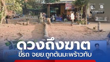 ดวงถึงฆาต ขี่รถ จยย.ถูกต้นมะพร้าวทับเสียชีวิต