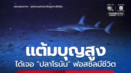 แต้มบุญสูง ได้เจอ "ปลาโรนัน" ฟอสซิลมีชีวิต