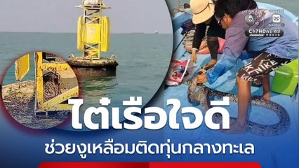 ไต๋เรือใจดี ช่วยงูเหลือมติดทุ่นกลางทะเล