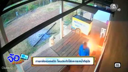 ภาพกล้องวงจรปิด โยนประทัดใส่และกระหน่ำตีสุนัข