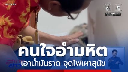 อำมหิต ! ราดน้ำมันเผาสุนัข ไซบีเรียนฯ จ.สงขลา