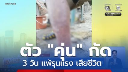 ระวัง ! ตัว "คุ่น" กัด กระตุ้นติดเชื้อถึงตาย