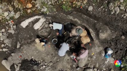 พบซากสัตว์ดึกดำบรรพ์ขนาดใหญ่ในคอสตาริกา