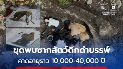 ค้นพบซากสัตว์ดึกดำบรรพ์ในยุคน้ำแข็ง 2 ชนิด ในคอสตาริกา คาดอายุราว 10,000-40,000 ปี