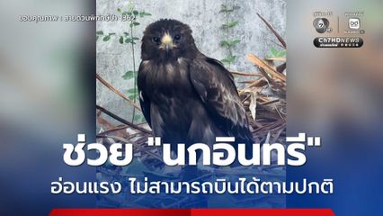 ช่วย “นกอินทรี” อ่อนแรง ไม่สามารถบินได้ตามปกติ