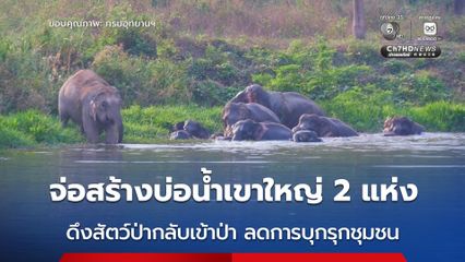 ลุยต่อโปรเจกต์ “บ่อน้ำเขาใหญ่” ดึงสัตว์ป่ากลับเข้าป่าลึก ลดปัญหาบุกรุกชุมชน ปีนี้เตรียมสร้างอีก 2 แห่ง