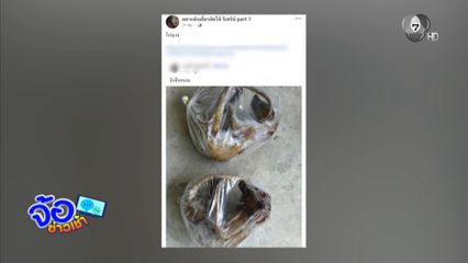 ไม่เกรงกฎหมาย ขายสัตว์ป่าคุ้มครอง