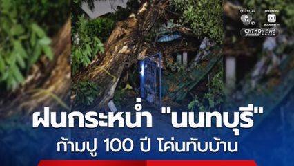 ต้นก้ามปูเก่าแก่อายุกว่า 100 ปี โค่นทับบ้านเรือนกลางเมือง “นนทบุรี” หลังฝนกระหน่ำลมแรง
