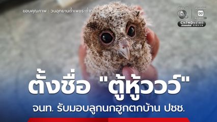 ตั้งชื่อ "ตู้หู้ววว์" จนท. รับมอบลูกนกฮูกตกบ้าน ปชช.