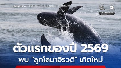 พบ “ลูกโลมาอิรวดี” เกิดใหม่ตัวแรกของปี 2569 ในแม่น้ำโขง