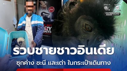 รวบชายชาวอินเดีย ซุกค่าง ชะนี และเต่า ในกระเป๋าเดินทาง