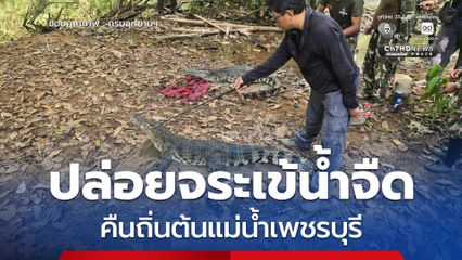 อุทยานฯ แก่งกระจาน ปล่อยจระเข้น้ำจืดไทยแท้ 2 ตัว คืนถิ่นต้นแม่น้ำเพชรบุรี หลังผล DNA ยืนยันสายพันธุ์บริสุทธิ์ 100%