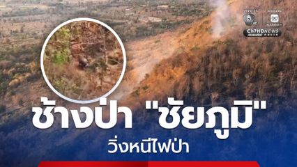 ไฟป่า “ชัยภูมิ” ลุกลามกว่า 5,000 ไร่ ช้างป่าวิ่งหนีอุตลุด