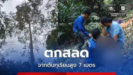 สุดเศร้า หนุ่มลูกเจ้าของสวนปีนต้นทุเรียนสูง 7 เมตร เหยียบกิ่งพลาดพลัดตกเสียชีวิตสลด