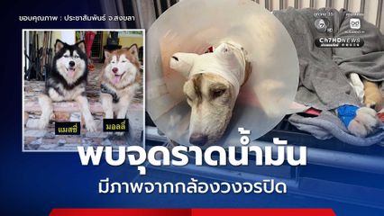 ตำรวจพบจุดราดน้ำมัน “เจ้ามอลลี่”