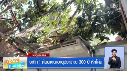 ระทึก ! ต้นยางนาอายุประมาณ 300 ปี หักโค่น