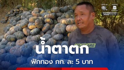 สลกนคร ราคาฟักทองตกต่ำ เหลือ กก. ละ 5 บาท