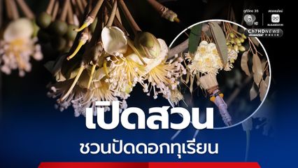 ทุเรียนเมืองนนท์ ปี 2569 เริ่มขายตั้งแต่เดือนเมษายน