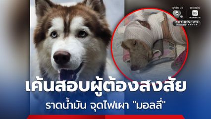 คุมตัวผู้ต้องสงสัยราดน้ำมันจุดไฟเผาเค้นสอบ หลังเจ้ามอลลี่ตายแล้ว