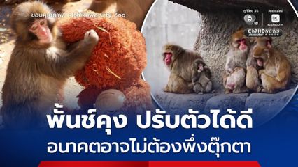 พั้นช์คุง ปรับตัวได้ดี อนาคตอาจไม่ต้องพึ่งตุ๊กตา