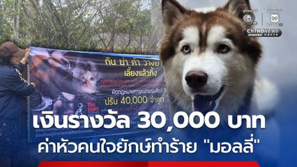 ตั้งรางวัล 30,000 บาท ค่าหัวคนราดน้ำมัน-เผา มอลลี่