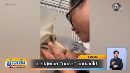 คลิปสุดท้าย “มอลลี่” ก่อนจากไป