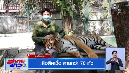 เสือติดเชื้อ ตายกว่า 70 ตัว