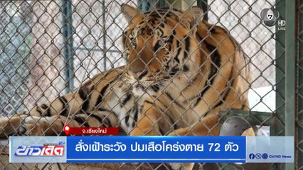 สั่งเฝ้าระวัง ปมเสือโคร่งตาย 72 ตัว