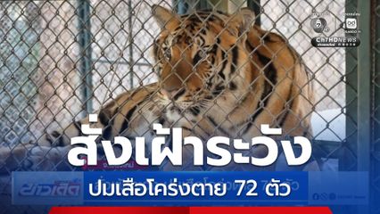 สั่งเฝ้าระวัง ปมเสือโคร่งตาย 72 ตัว