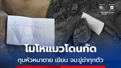 โมโหแมวโดนกัด ทุบหัวหมาตาย เขียน จม.ขู่ฆ่าทุกตัว