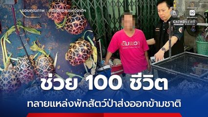 ช่วย 100 ชีวิต ทลายแหล่งพักสัตว์ป่าส่งออกข้ามชาติ